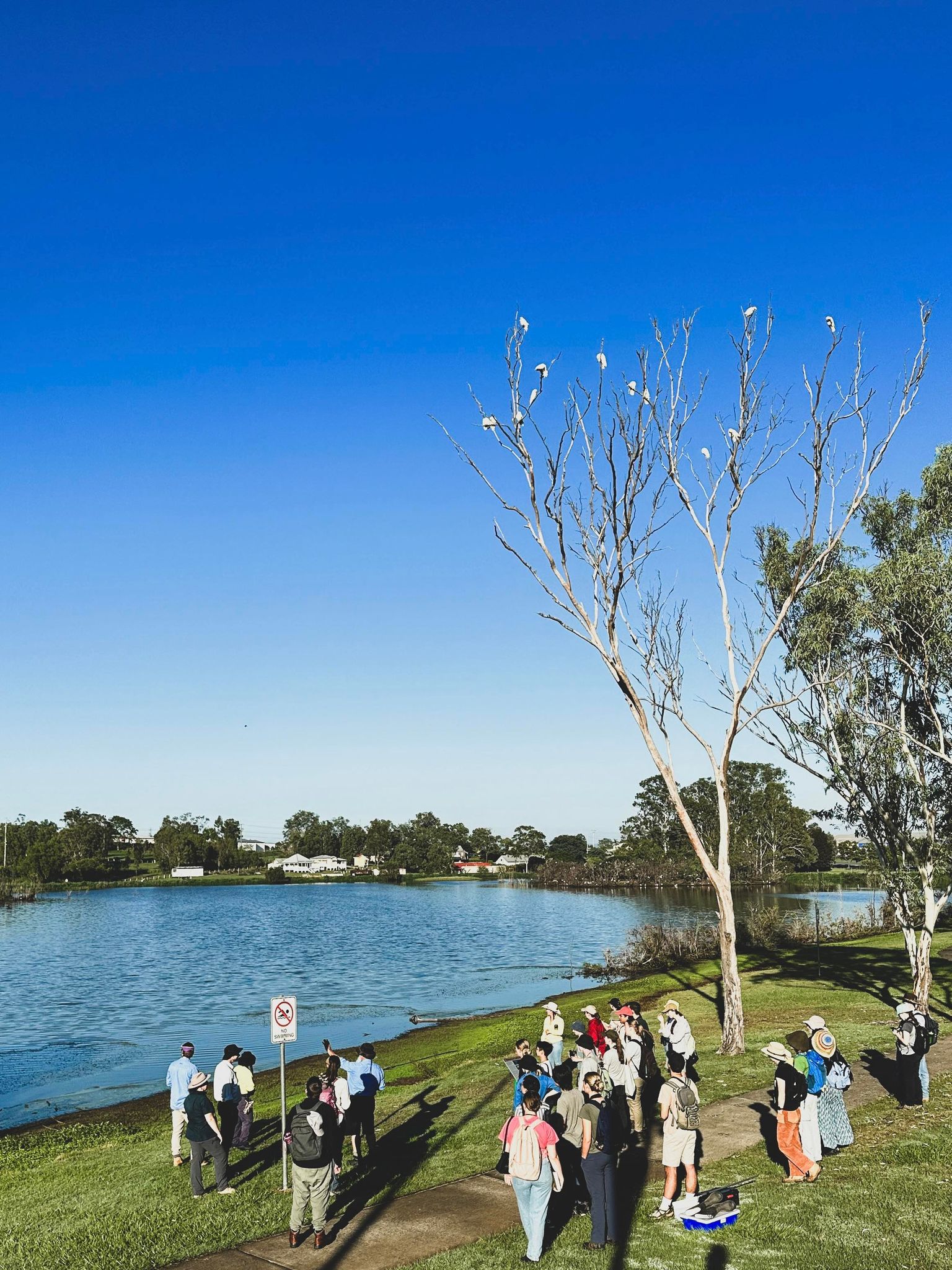 Council Supports Uq Gatton Students Through Field Practical Lockyer